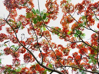 《传说法师2》公布全新战斗预告宣传片